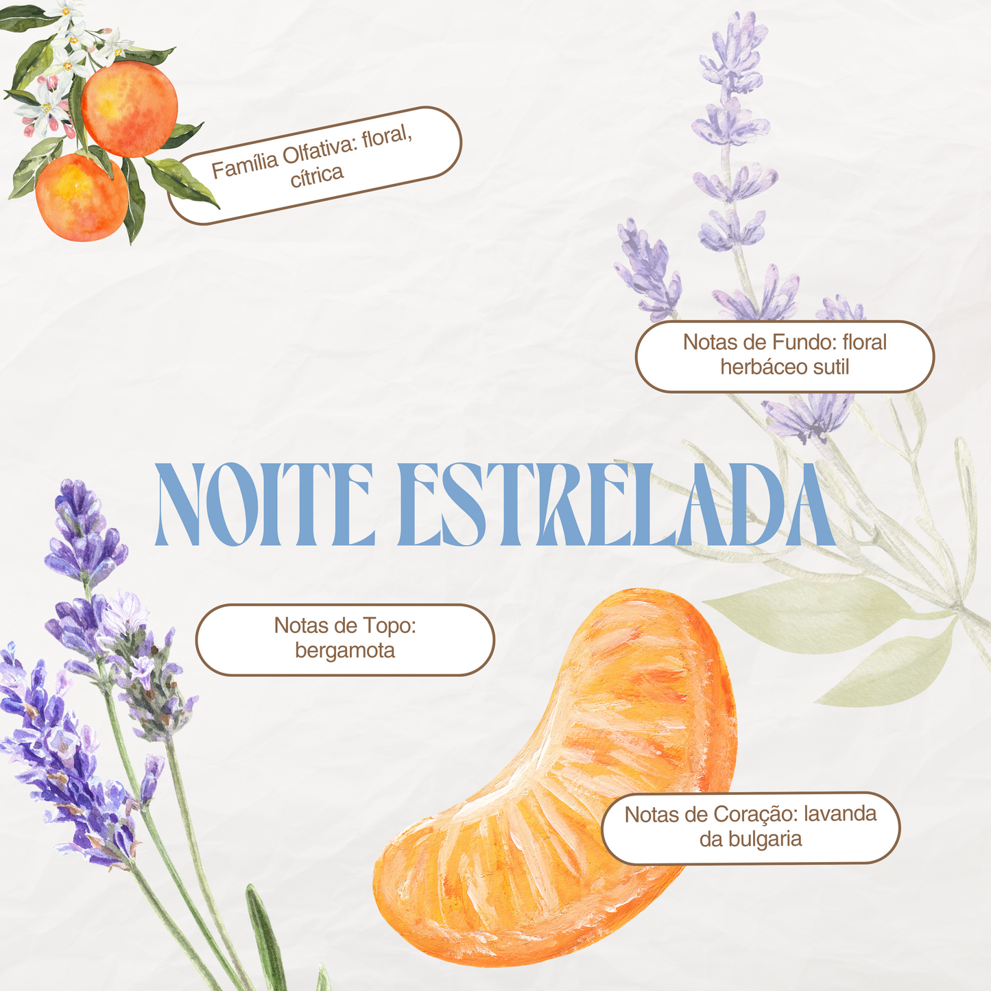 Kit Manteiga Hidratante Noite Estrelada + Pocket