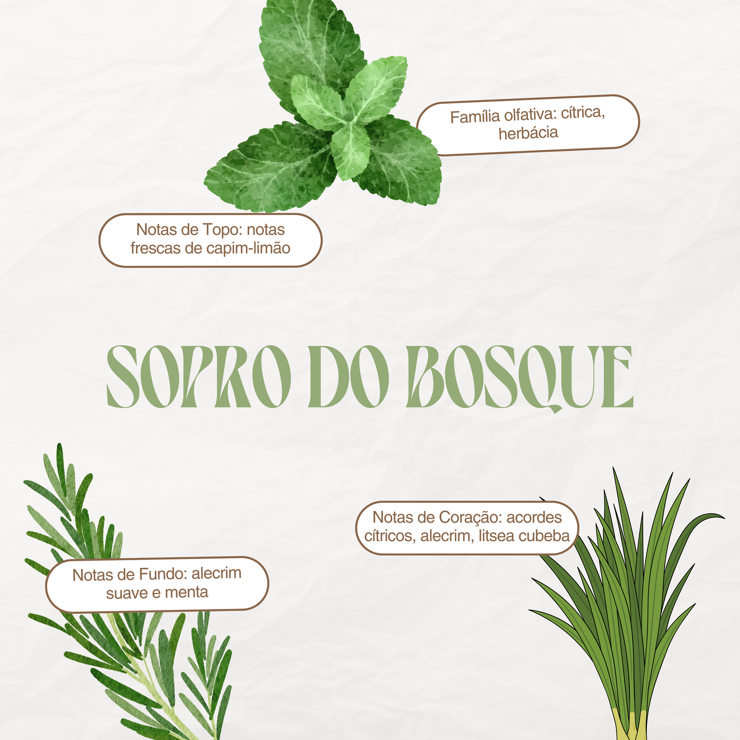 Kit Manteiga Hidratante Sopro do Bosque + Pocket